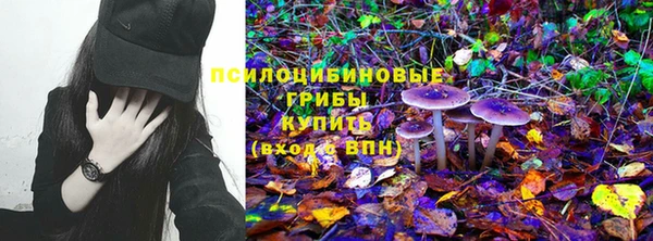 дживик Куйбышев