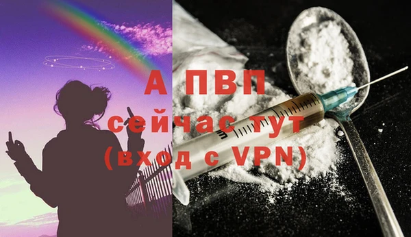 спайс Кулебаки