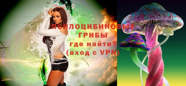 спайс Кулебаки