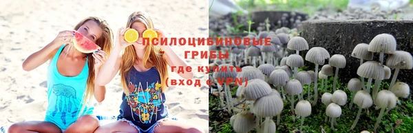 2c-b Кукмор