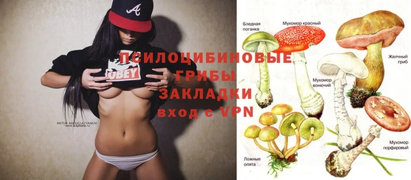 спайс Кулебаки