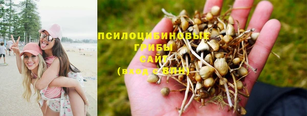 спайс Кулебаки