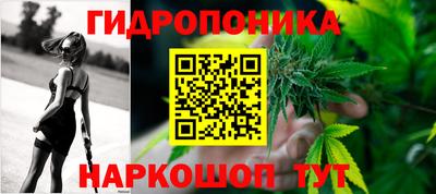 твердый Пушкино