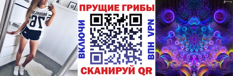 где купить наркоту  Тихвин  omg ТОР  Псилоцибиновые грибы мицелий 
