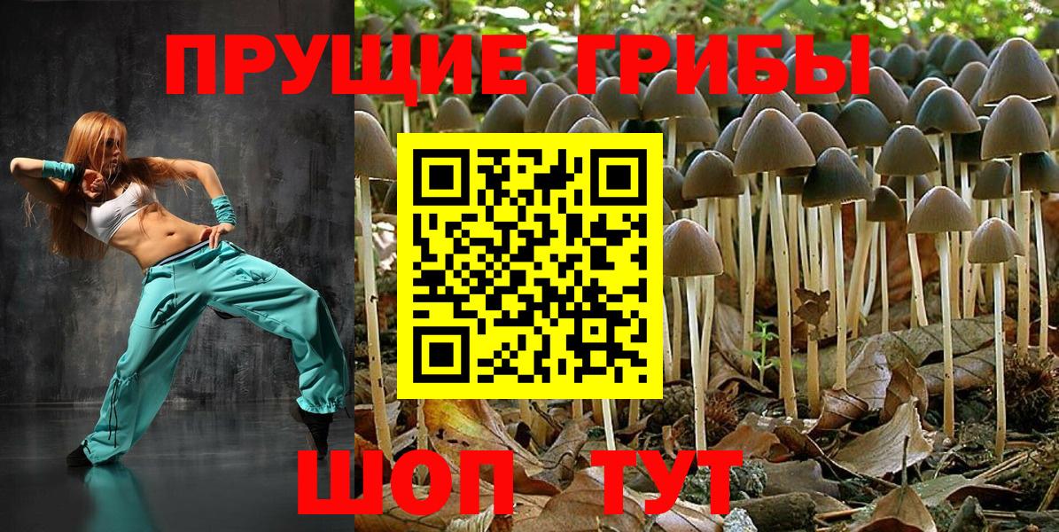 Тихвин  Псилоцибиновые грибы мицелий  что такое   Вход с VPN 